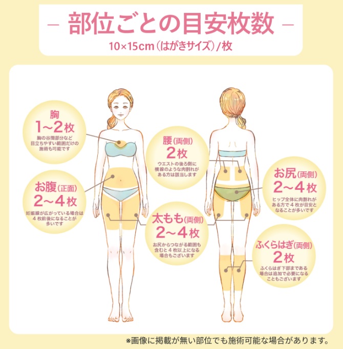 部位ごとの目安枚数